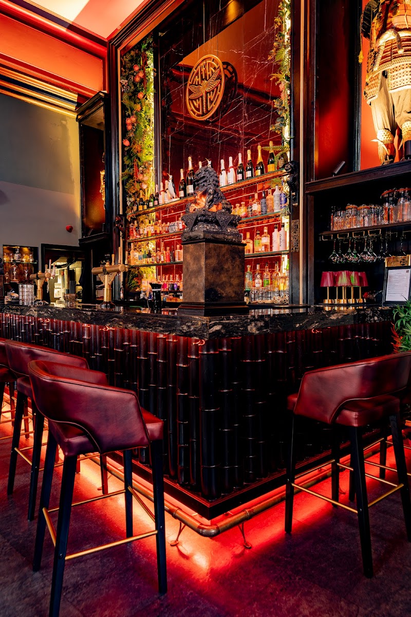 Drgnfly Pan Asian Restaurant